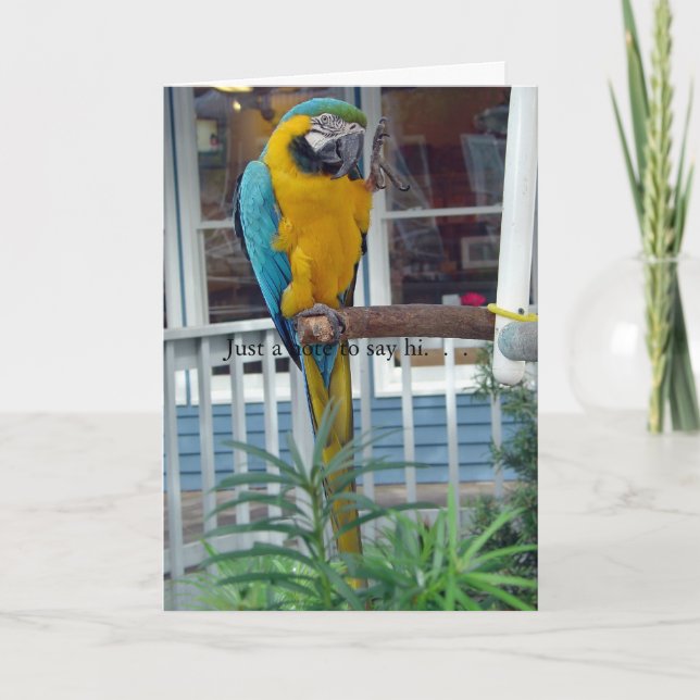 Carte Parrot Waving Hello Card - Juste une note pour dir (Devant)