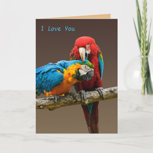 Carte Parrots Aimer or et bleu Macaw Scarlett Macaw (Devant)