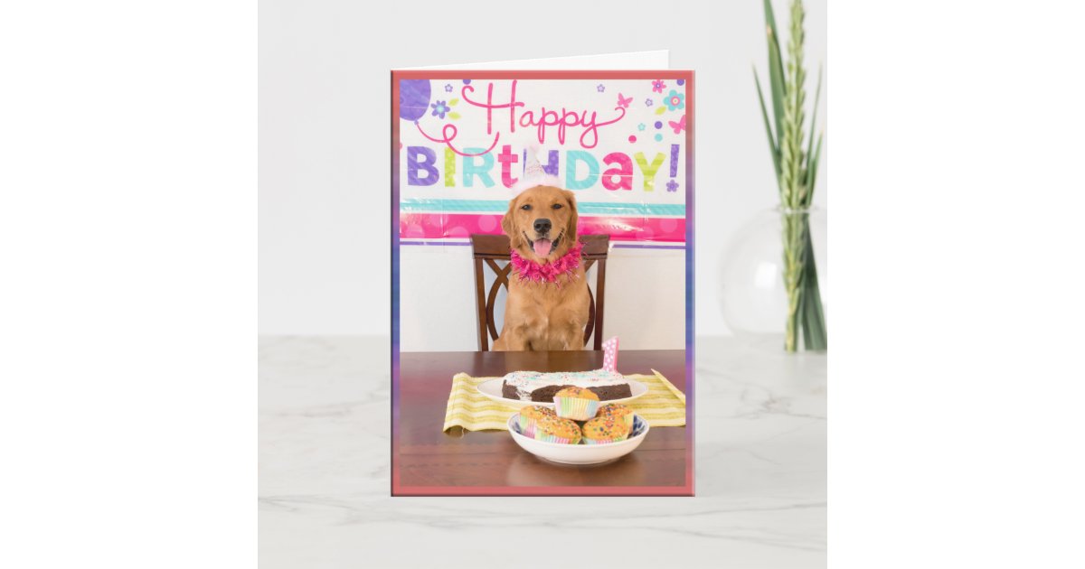 Carte Partie De Chien De Joyeux Anniversaire Avec Mon Zazzle Ca Carte Partie De Chien De Joyeux Anniversaire Avec Mon Zazzle Ca