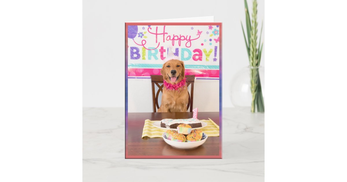 Carte Partie De Chien De Joyeux Anniversaire Avec Mon Zazzle Ca