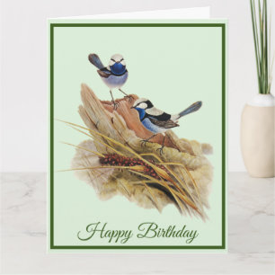 Carte Paruline Turquoisine superbe