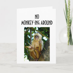 CARTE PAS DE MONKEY-ING AUTOUR DE VOUS AIMER