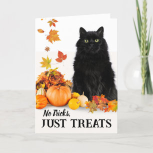 Carte Pas De Trucs Juste Traite Halloween Chat Noir