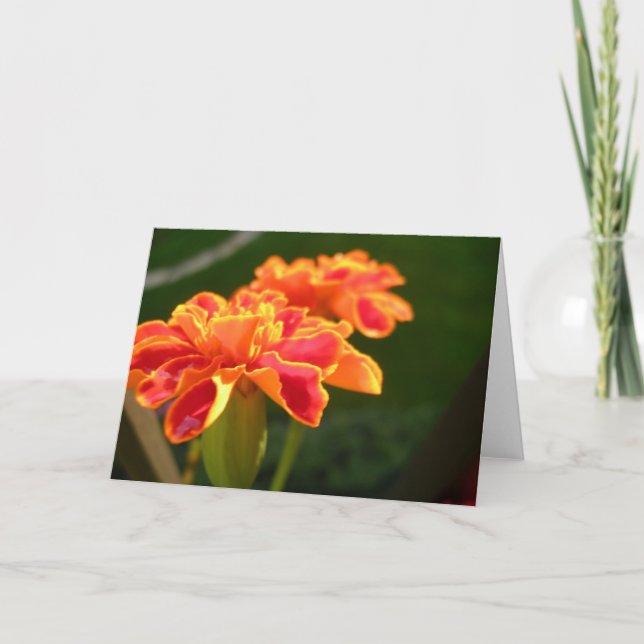 Carte Passion (Devant)