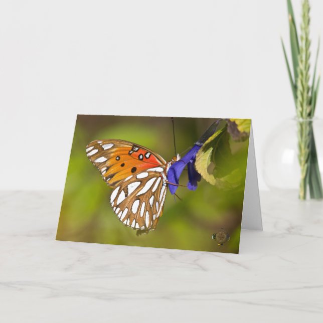 Carte Passion Papillon Embrace Lee Hiller Photographie (Devant)