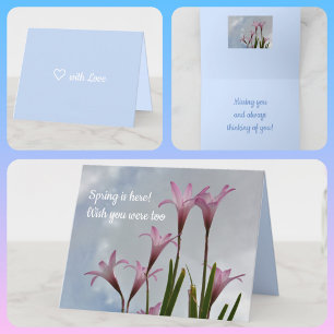 Carte Pastel Pink Pluie Lilies Springtime Floral Card