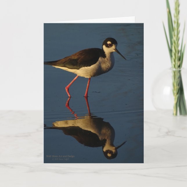 Carte Patauger le charadriidé Noir-Étranglé d'oiseaux (Devant)