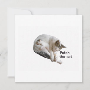 CARTE PATCH LE CHAT ET SA CUISINE