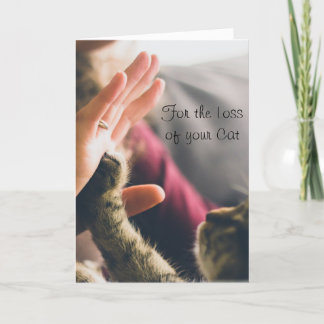 Carte Patte de chat faisant un high-five