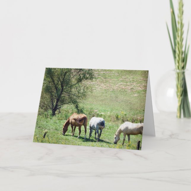 Carte Pâturage du cheval (Devant)