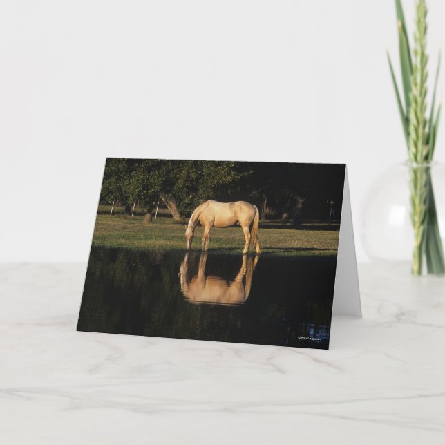Carte Pâturage Palomino Par Lac Avec Réflexion (Devant)