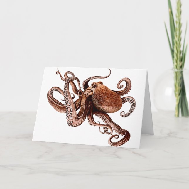 Carte Paul L'Octopus (Devant)
