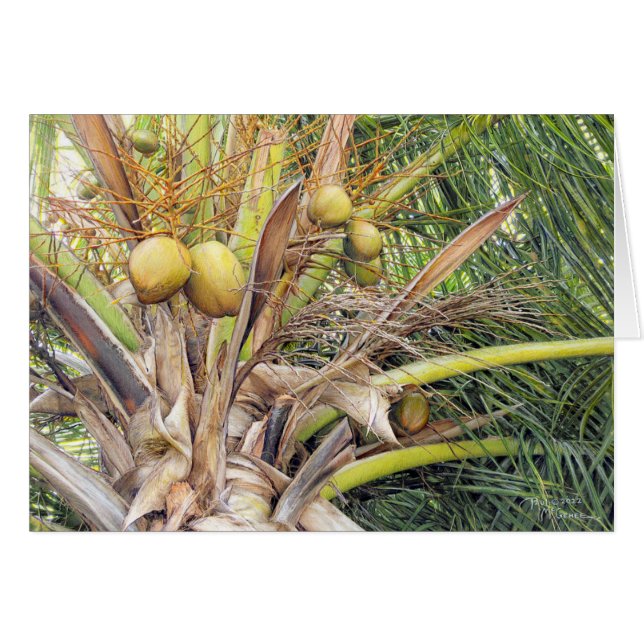 Carte Paul McGehee "Coconuts" (Devant Horizontal)