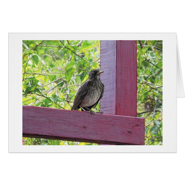 Carte Paul McGehee "Island Visitor" (Devant Horizontal)