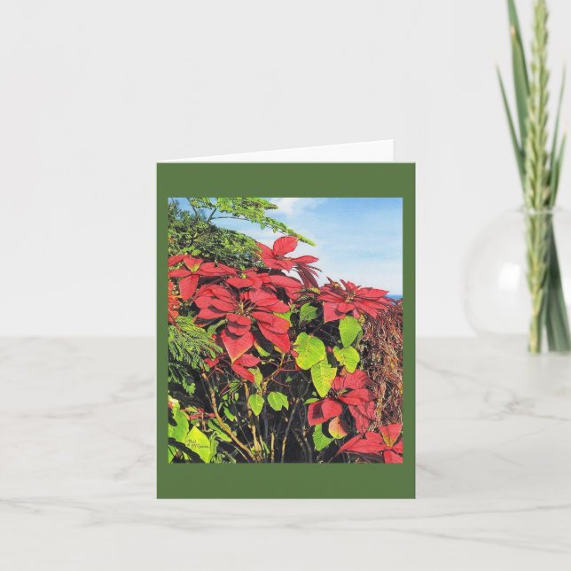 Carte Paul McGehee "Poinsettias" (Devant)