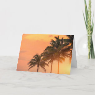 Carte Paumes de Miami