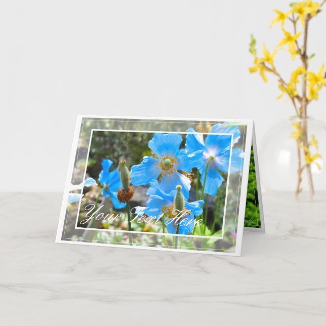 Carte Pavot bleu himalayen [Carte de voeux] カ ー ド (Fleur jaune)