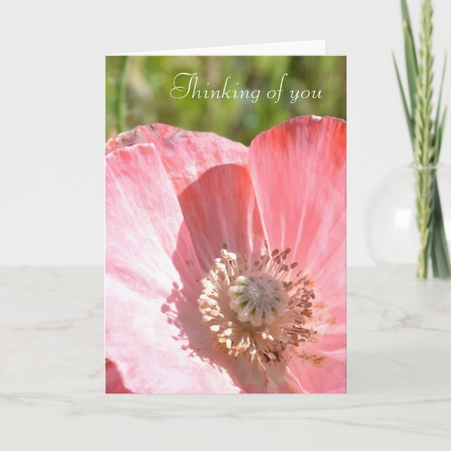 Carte Pavot d'Islande rose III (Devant)