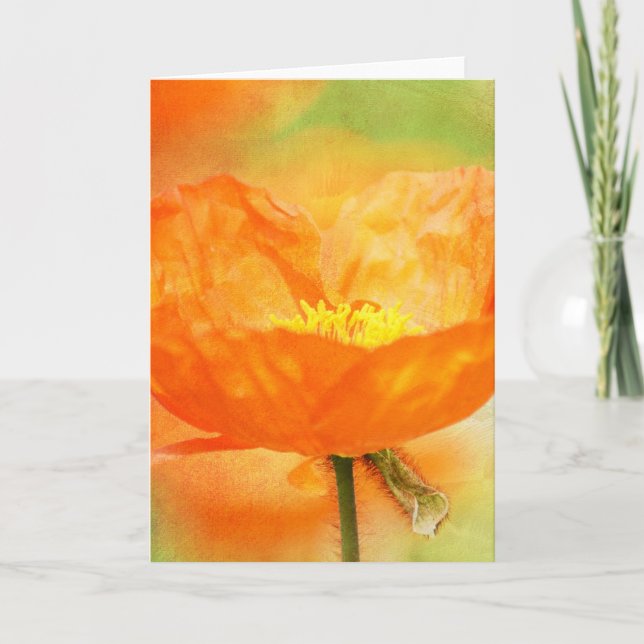 Carte Pavot orange (Devant)
