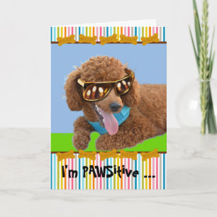 Carte Pawsitive Birthday Red Pooda in Shades