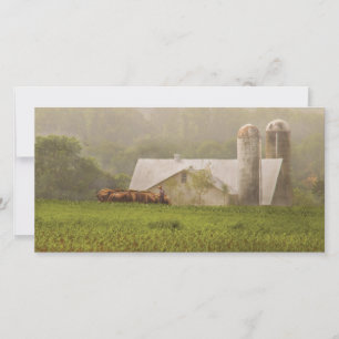 Carte Pays - Agriculture Amish