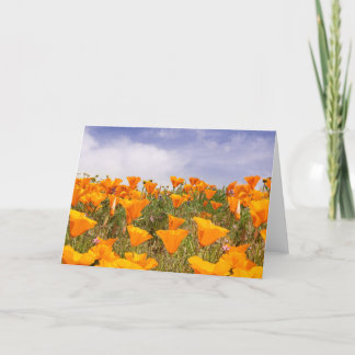 Carte Paysage des Poppies de Californie
