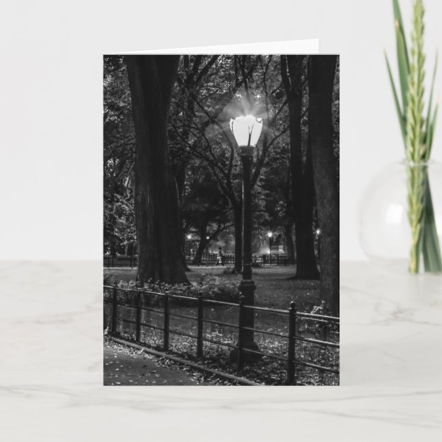 Carte Paysage noir et blanc Photo de Central Park (Devant)