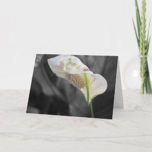 Carte Peace Lily Photo "Joyeux anniversaire !"