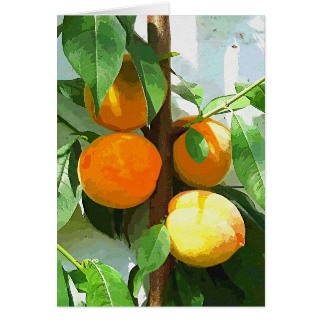 Carte PEACHES (Devant)