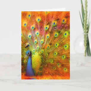 Carte Peacock, Anniversaire