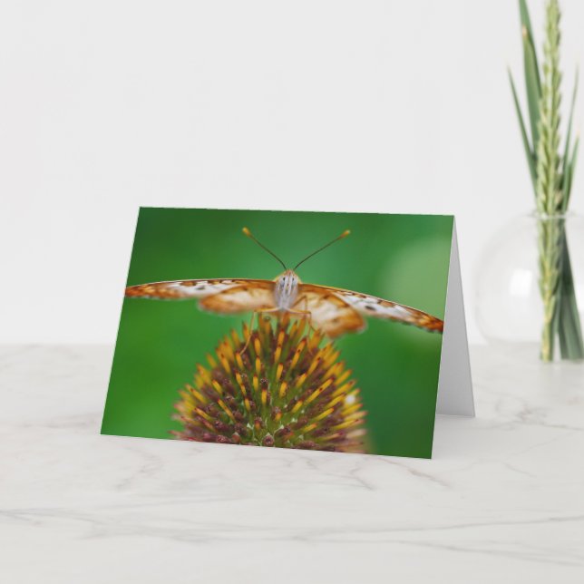 Carte Peacock blanc (Devant)