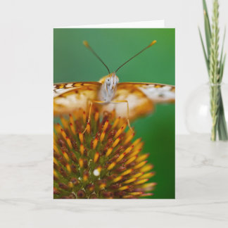 Carte Peacock blanc