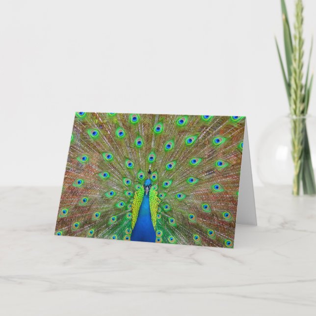 Carte Peacock bleu #3 (Devant)