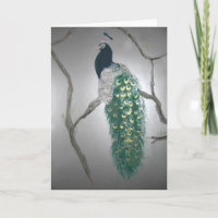 Peacock le matin