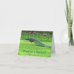 CARTE PEACOCK & TULIPS /FIER EN TANT QUE PEACOCK/CONGRAT