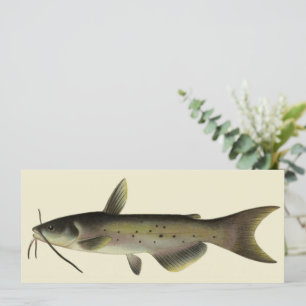 Carte Pêche à la silure, Vieille vie marine rivière pois
