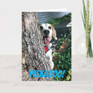 CARTE PEEKABOO