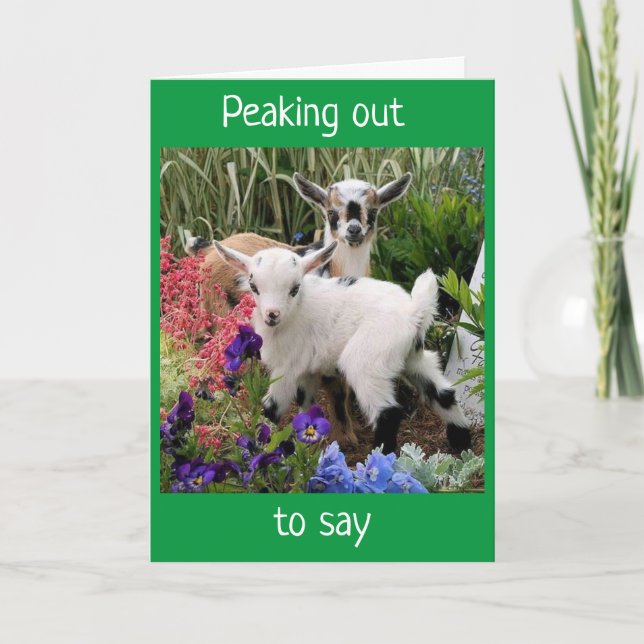 CARTE PEEKING SORT POUR DIRE "HEUREUX ANNIVERSAIRE" (Devant)