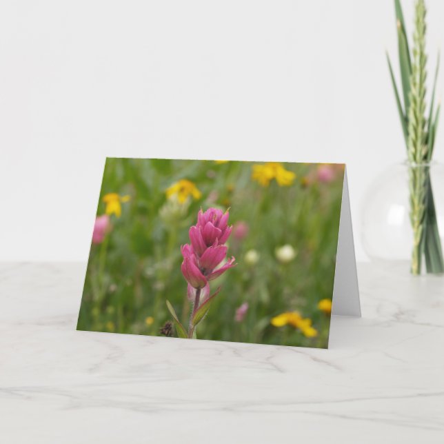 Carte Peignez 05 004 Brosse-Attrayants (Devant)