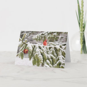 Carte Peint Cardinal Neige Ciel et Nature Noël