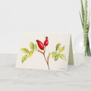 Carte Peinture d'aquarelle botanique des fruits du roseh