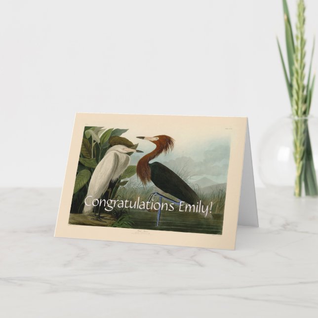 Carte Peinture de la faune d'Audubon Heron violet (Devant)