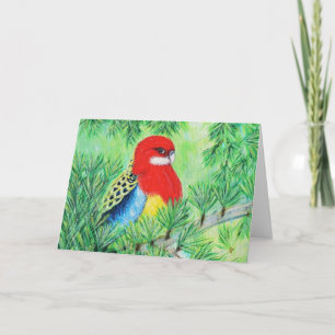 Carte Peinture d'oiseaux Red Rosella