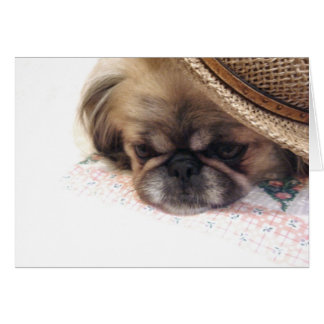 Carte Pekingese