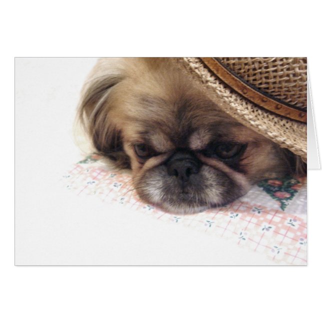 Carte Pekingese (Devant horizontal)