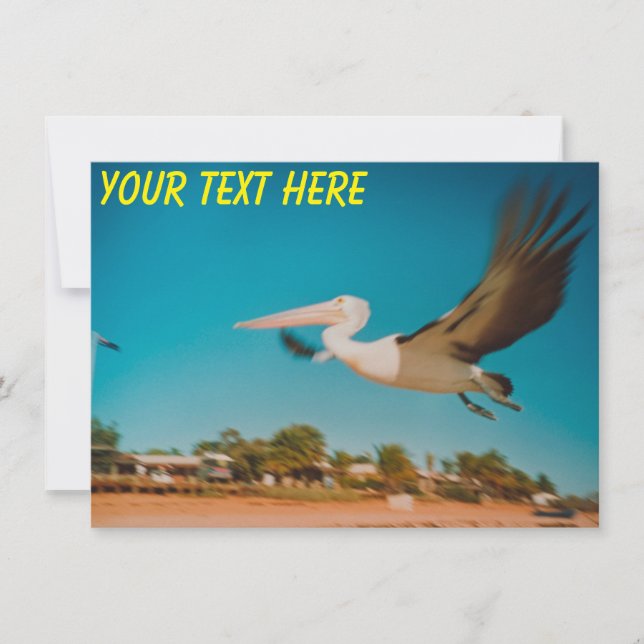 Carte Pélican Australie personnalisable (Devant)