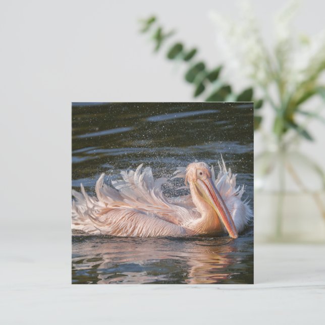 Carte Pélican en mouvement (Debout devant)