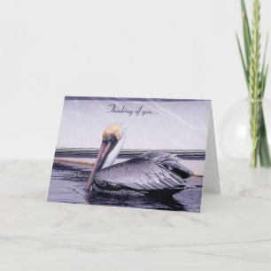 Carte Pelican Gliding