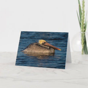 Carte Pélican reposant dans l'eau