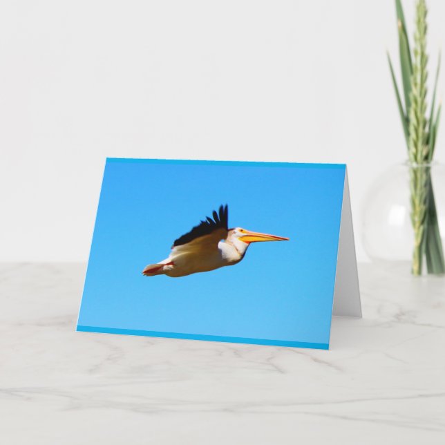 Carte Pélican volant à toute occasion (Devant)